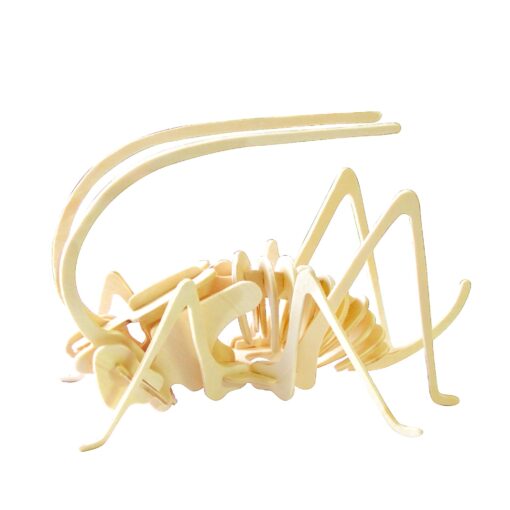 Cricket - 3D Wooden Puzzle