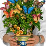 FreshCut Flowers Card - Butterflies & Buttercups