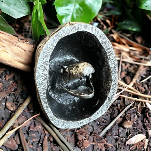 JM - Pewter Shell - Snakehead