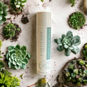 Lip Balm by Earth-Side Organics