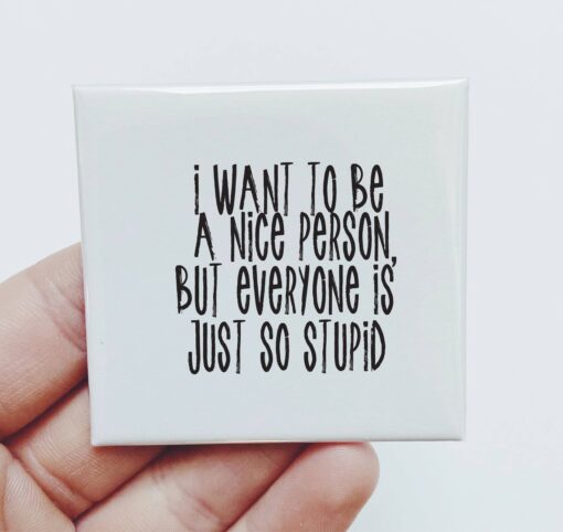 I Want To Be a Nice Person...Stupid Magnet