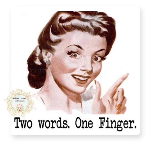 Two Words One Finger Retro Vinyl Sticker