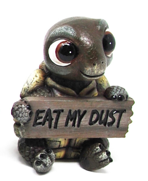 Good Vibes (Eat My Dust) - Turtle Resin Figure