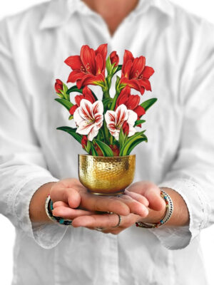 Scarlet Amaryllis Mini Pop-up Greeting Card