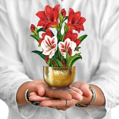Scarlet Amaryllis Mini Pop-up Greeting Card