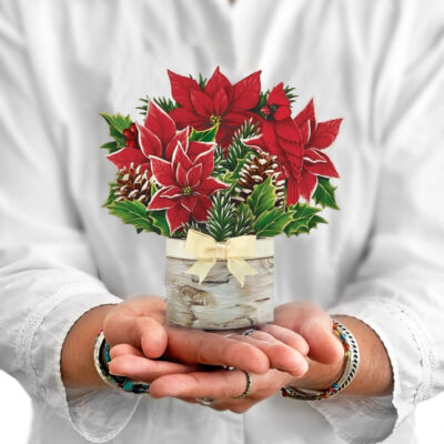 Birch Poinsettia Mini Pop-up Greeting Card