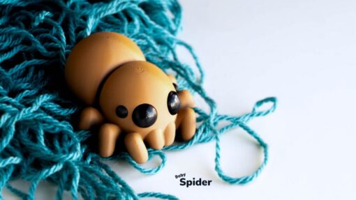 Baby Spider 3D Pet