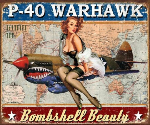 P-40 Warhawk Bombshell Beauty 12x16 Metal Sign Decor